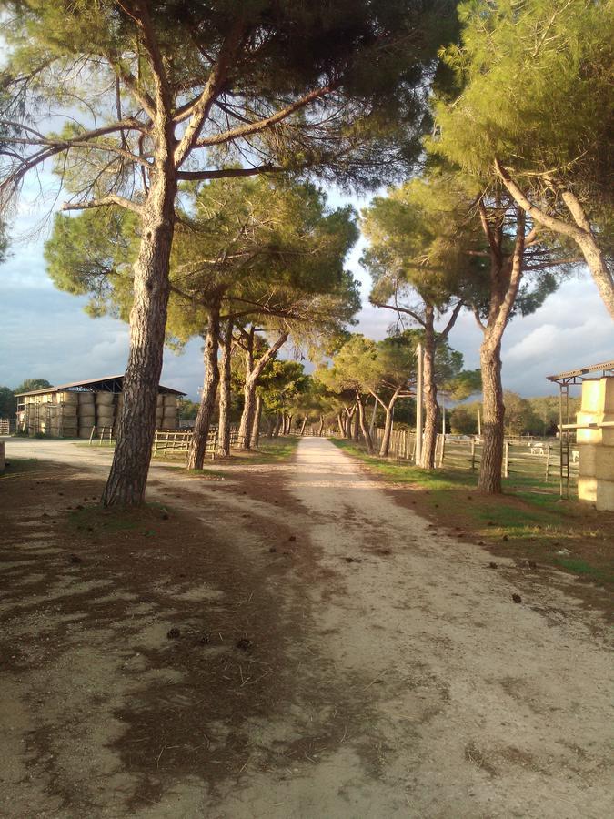Biocampus La Roccaccia - Universita' Agraria Di タルクイーニア エクステリア 写真
