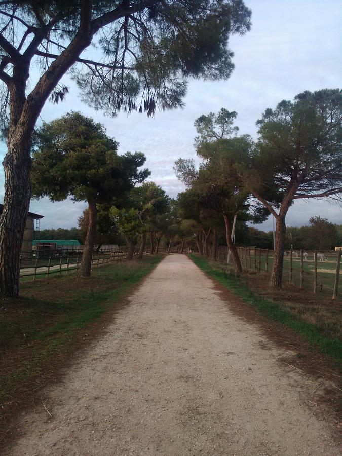 Biocampus La Roccaccia - Universita' Agraria Di タルクイーニア エクステリア 写真