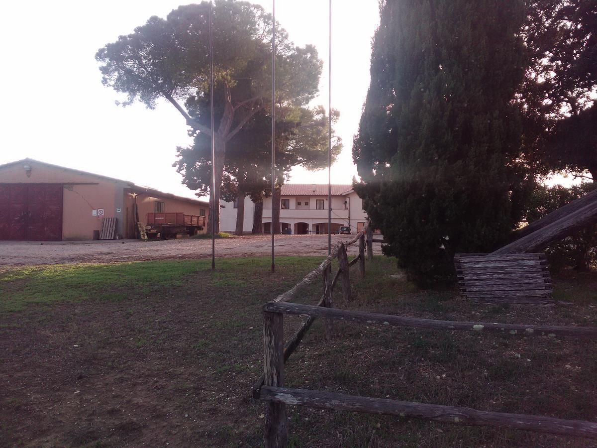 Biocampus La Roccaccia - Universita' Agraria Di タルクイーニア エクステリア 写真